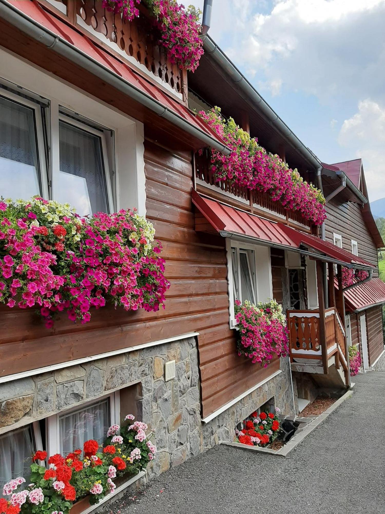 Penzion Blanka Zdiar Exterior photo